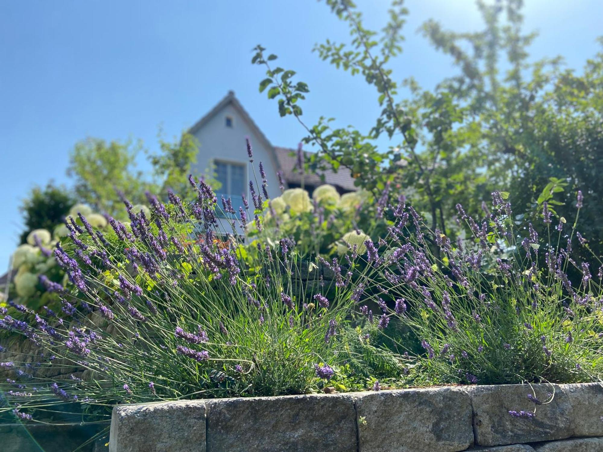 Romantik Idyll Am Tiefental Konigsbruck Экстерьер фото